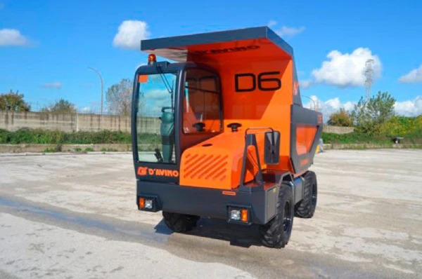 D6